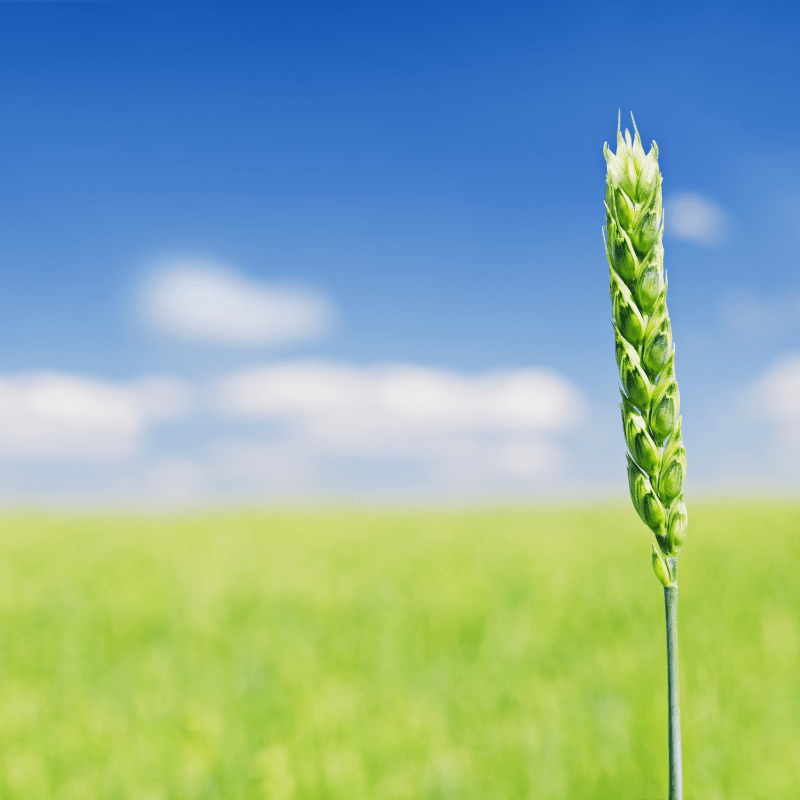 Neubeginn Unternehmen Turnaround